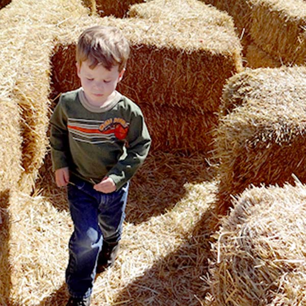 Middleton Farms Fall Festival Kids Play Area in Pasco, WA