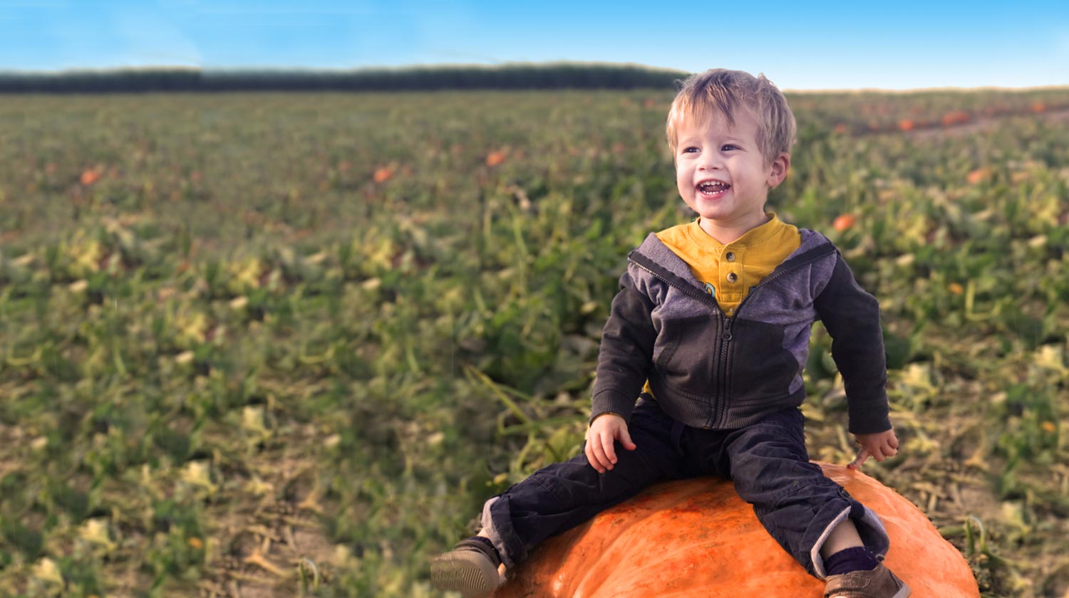 Middleton Farms Corn Maze in Pasco, WA